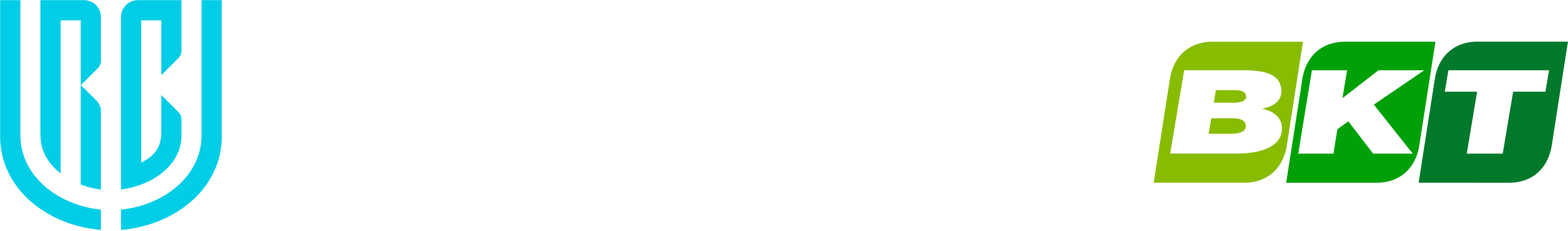 United Rugby Championship