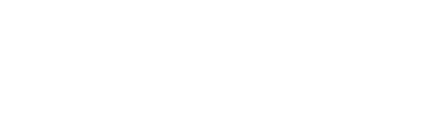 Macron Logo